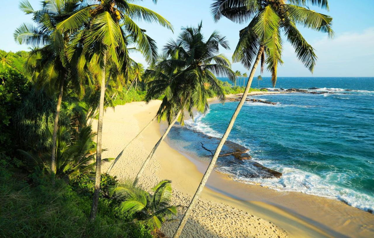 Eva Lanka Hotel - Beach & Wellness Tangalle Εξωτερικό φωτογραφία